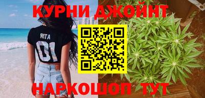 прущие крисы Бийск