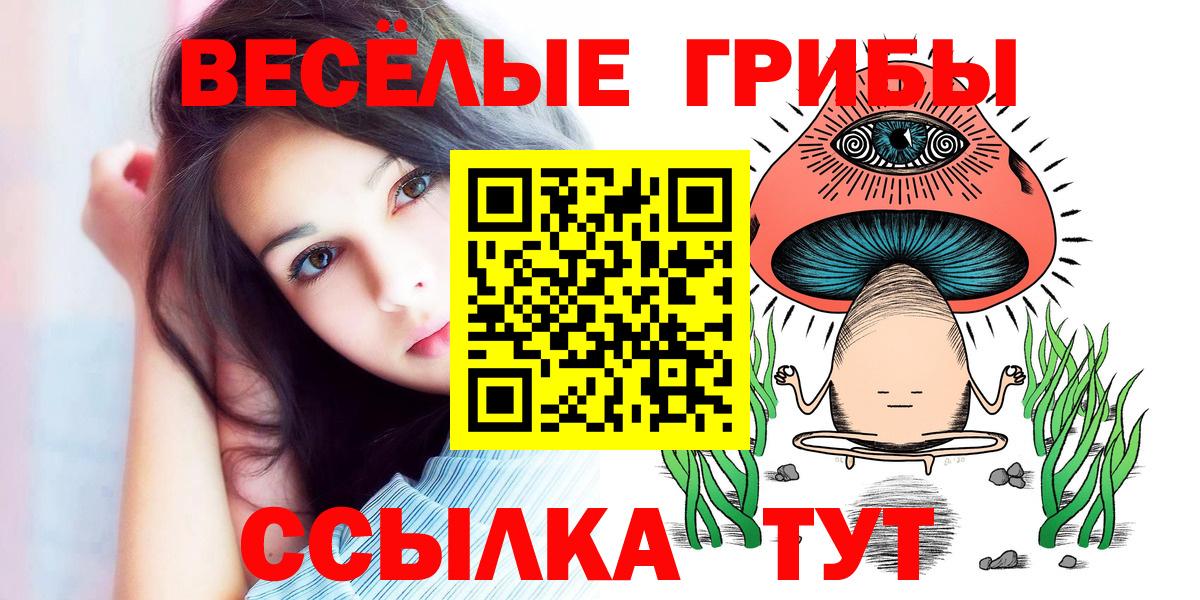 Псилоцибиновые грибы прущие грибы  Вход с VPN  Ипатово 